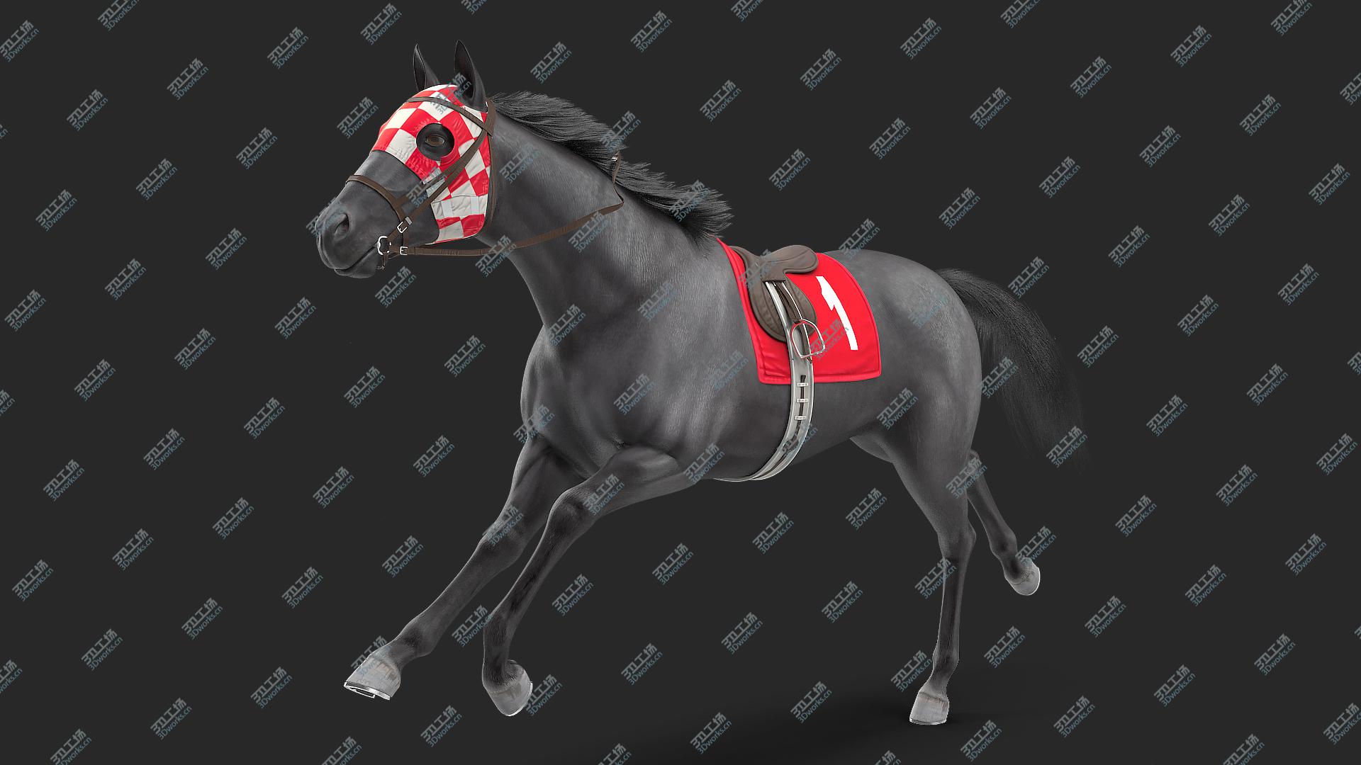 images/goods_img/20210313/Black Racehorse Fur Rigged 3D model/2.jpg